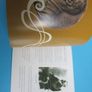 1994 Irish Nobel Prize Winners - Stamp Booklet Image 7