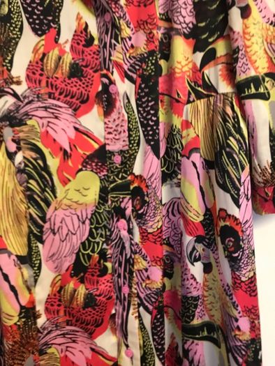 Ladies Dress stunning print