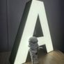 Wedding decor light up personalised letters Image 4