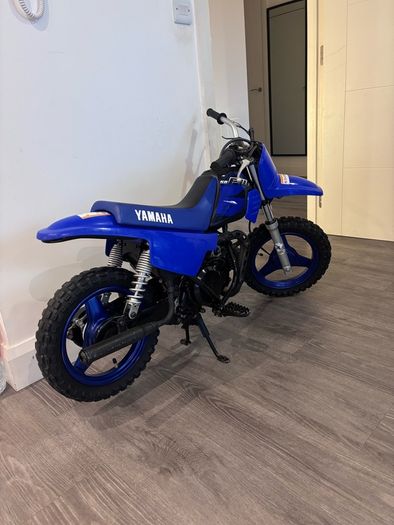 Pw 50