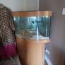 Fish tank Image 2