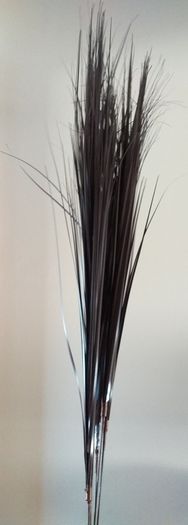 Brown Grasses X 5
