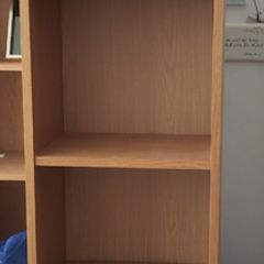 Tall IKEA Billy Bookcase