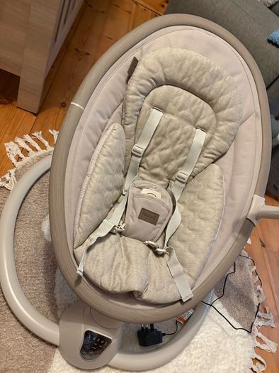 Nested Willow Baby Swing