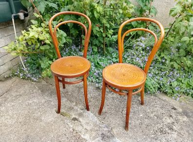 Vintage Bentwood Chairs