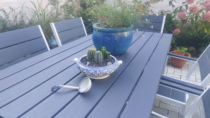 Fabulous Vintage Arklow Pottery Blue and White Tureen with Cacti Garden - A Fabulous Unique and Decorative Item for Display Indoors