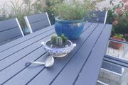 Fabulous Vintage Arklow Pottery Blue and White Tureen with Cacti Garden - A Fabulous Unique and Decorative Item for Display Indoors