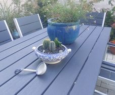 Fabulous Vintage Arklow Pottery Blue and White Tureen with Cacti Garden - A Fabulous Unique and Decorative Item for Display Indoors