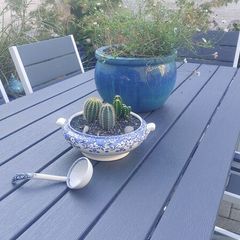 Fabulous Vintage Arklow Pottery Blue and White Tureen with Cacti Garden - A Fabulous Unique and Decorative Item for Display Indoors