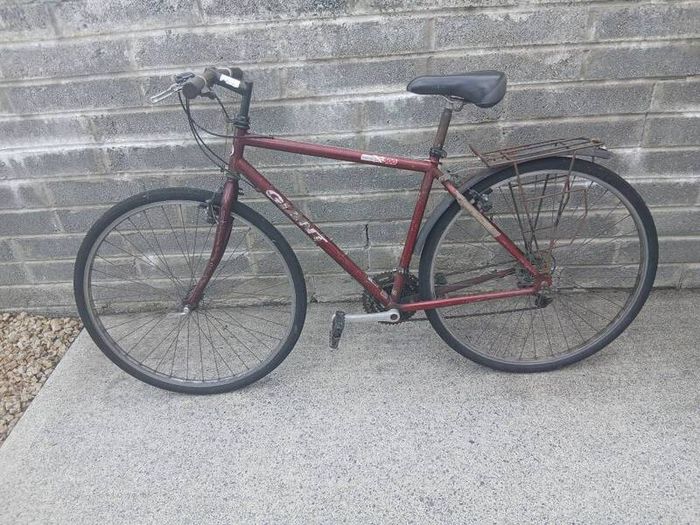 Adults Bike