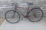 Adults Bike