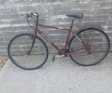 Adults Bike