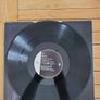 Mann Riders On The Storm 12 inch Vinyl 1991 A&M Records Dance Classic Image 4