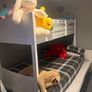harvey norman bunk bed Image 2