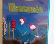 Terraria - Nintendo Wii U games