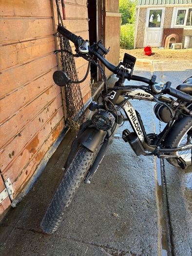 Electric cargo bike
