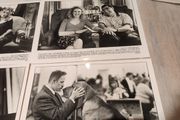 Best In Show Press pack