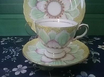 Tuscan "Lotus Flower" Trio