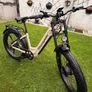 e bike Image 9