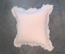 cushion