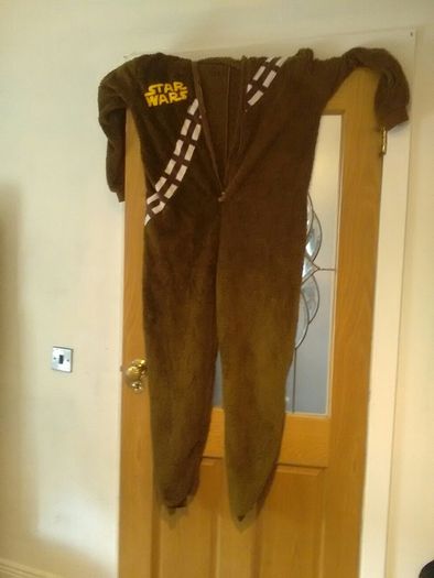 adult onesie