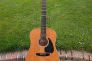 Ibanez PF10 Acoustic Guitar