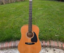Ibanez PF10 Acoustic Guitar