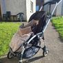 buggie Image 10