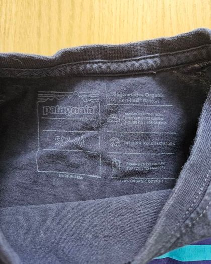 Boys Patagonia t-shirt