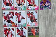 Southampton FC match attax cards