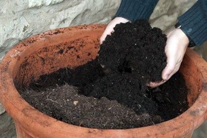 Biochar and wood ash
