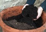 Biochar and wood ash