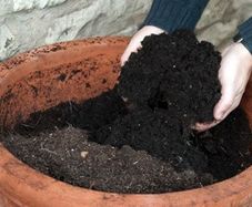 Biochar and wood ash