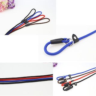 Nylon Slip On Training Lead & Combined Collar (S-M)