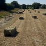 Small square Hay bales Image 6