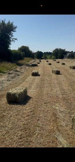 Small square Hay bales