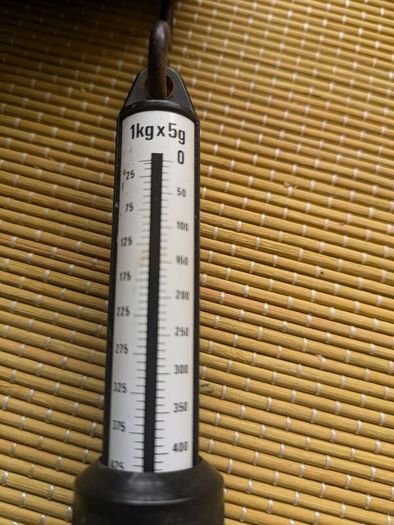 Salter 2kg scales.