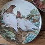 John Francis - The Forest Year - 5 Porcelain Collection Plates Image 6