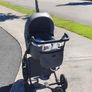 Buggy Image 3