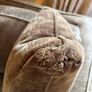 Feather And Down Two Seater Couch Image 7