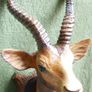 Vintage DEER HEAD English Barometer Image 7