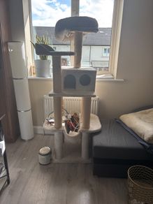 cat tree