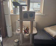 cat tree