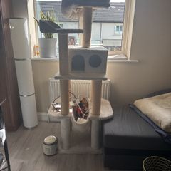 cat tree
