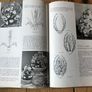 Flower Arranging Books Image 10