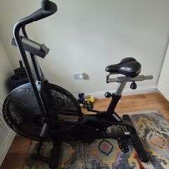 Assault bike