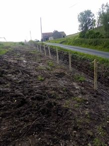 Fencing