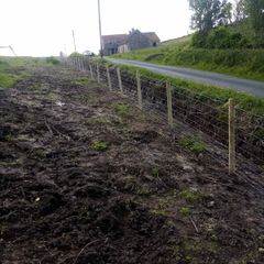 Fencing
