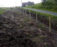 Fencing