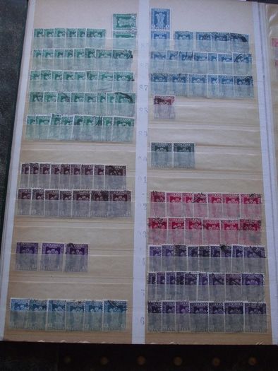 A nice collection of Stamps from India, presented in the stock book